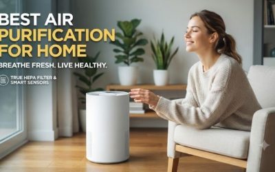 Best Air Purification For Home: Top Freshness Guide