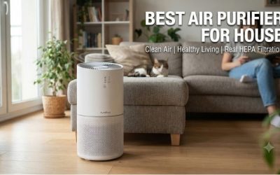 Best Air Purifier For House: Top Clean Air Solutions