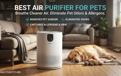 Best Air Purifier For Pets: Top Picks For Clean Air