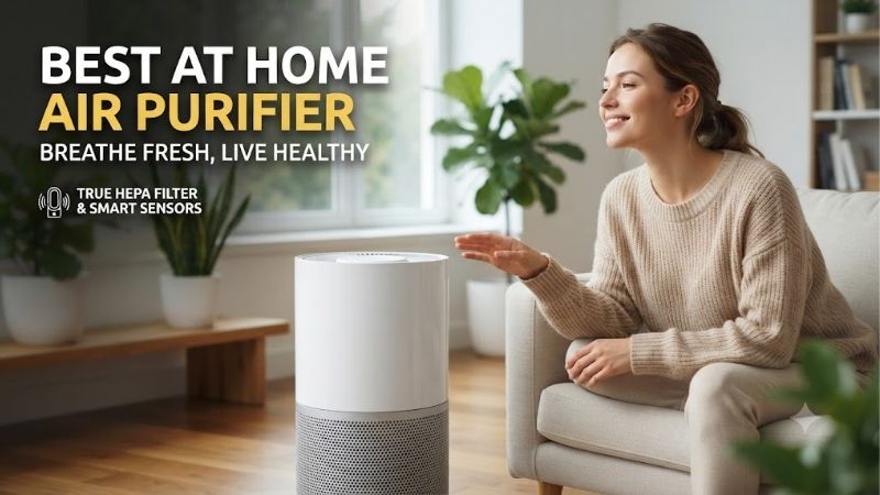 best-at-home-air-purifier