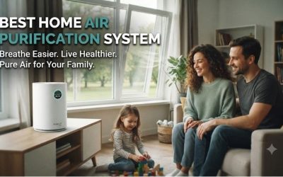 Best Home Air Purification System For Clean Indoor