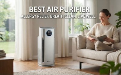 Best Air Purifier Allergy Choices for Clean Air Rooms