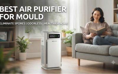 Best Air Purifier For Mould Removal And Prevention