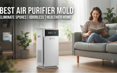 Best Air Purifier Mold Solutions For Clean Living