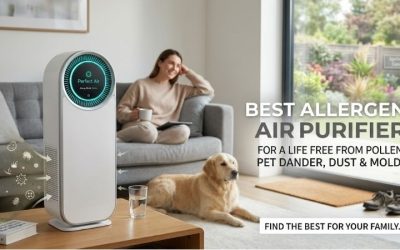Best Allergen Air Purifier For Clean Indoor Spaces