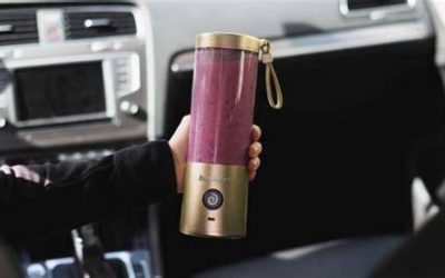 8 Best Protein Shake Blenders for the Gym Bag: 7 To-Go Picks