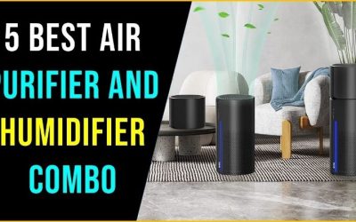 Best Humidifier Purifier Combo: 7 Units and a Better Option