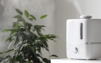 Best Humidifier for Entire House: Console vs HVAC Mounted