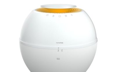 Dehumidifier vs. Humidifier: Which Appliance Do You Actually Need?