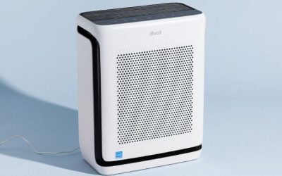 8 Best Air Purifiers for VOCs: 7 Whole-Home Carbon Options
