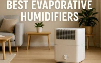 Best Humidifier Best Buy Guide: 7 Types and Models Compared