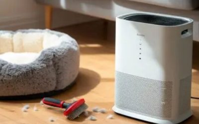 Best Pet Hair Air Purifier Picks: Pre-Filters and Carbon