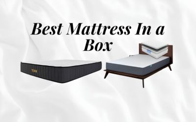 Best Mattress in a Box: 6 Picks Compared on Feel and Value