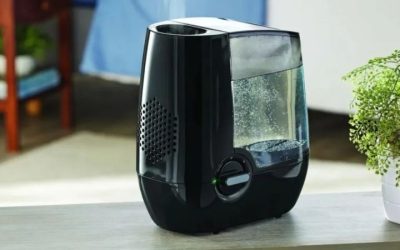 Which Is Best Cool Mist or Warm Mist Humidifier? 2026 Guide