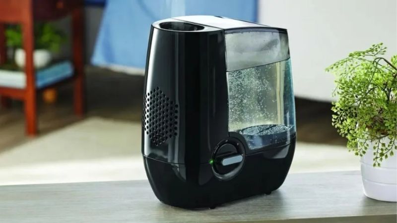 How to Choose Between Cool Mist and Warm Mist