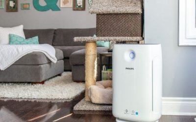 Reddit Best Air Purifier Picks: 7 Models Owners Rate Highly