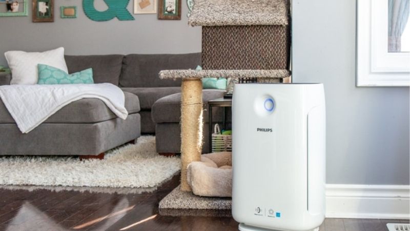 reddit best air purifier