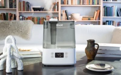 Best Warm Mist Humidifier: 7 Picks by Tank and Coverage