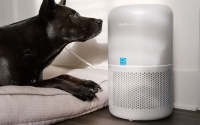 Best Air Purifier Pet Odor: 7 Picks by Home and Pet Type