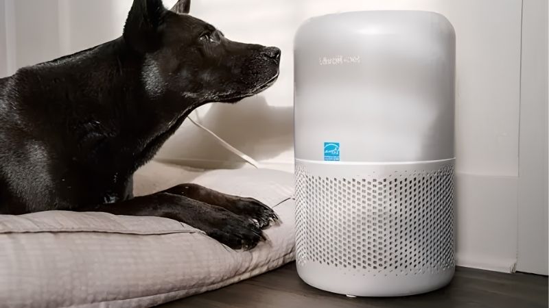 Match the Machine to the Pets and the Home