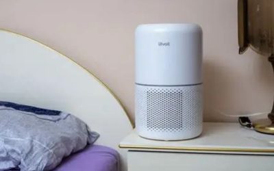 8 Best Air Purifier Bedroom Picks: CADR and Noise Compared