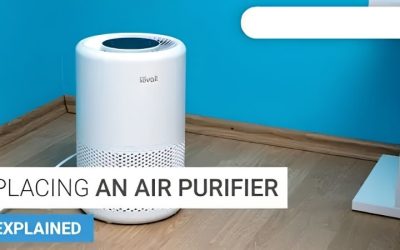 8 Best Places to Put Air Purifier: Room-by-Room Picks 2026