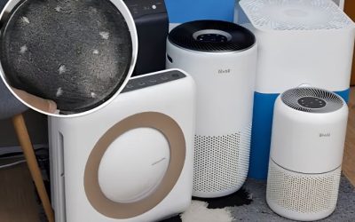 Best Pet Allergy Air Purifier: 7 Picks for Dander and Fur