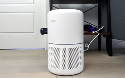 8 Best Air Purifier Cats Owners Needs: 7 Dander and Odour Picks