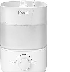 Top 5 Humidifiers for Dry Climates and Winter Months