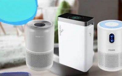 8 Best Air Purifiers for Cat Litter Smell: 7 Multi-Cat Picks