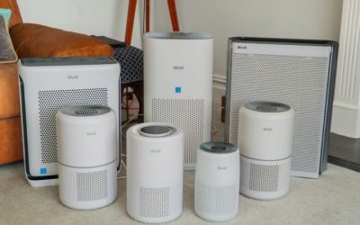 8 Best Air Purifiers for Mold and Dust: 7 Sealed HEPA Picks