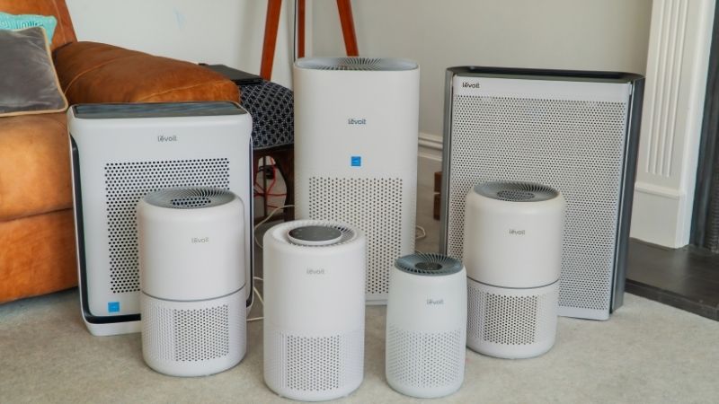 What a Filter Can and Cannot Do About Mould