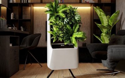 8 Best Plants Air Purifier Picks for Pollen and Mould Spores