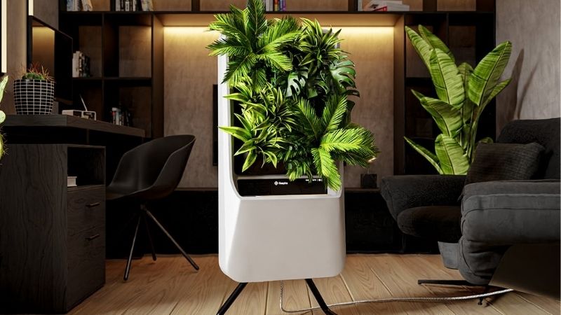 What a Plant Collection Actually Puts Into the Air