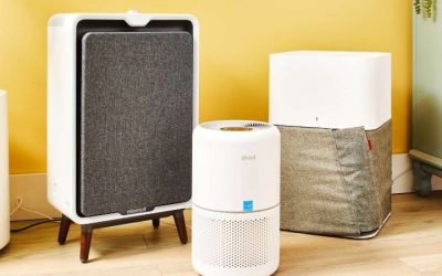 Best Air Purifier for Pets Hair: Dander, Rooms and CADR