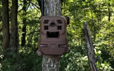 8 Best Trail Cameras for Security: 7 Cellular and SD Picks