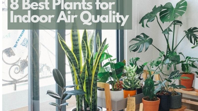 Why a Plant Room Needs Different Filtration
