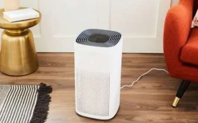 Best Rated Air Purifier for Dust: Pre-Filters and Sealing