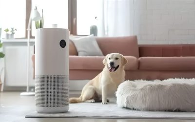Best Air Purifier Pet Odors: 7 Picks by Carbon Capacity