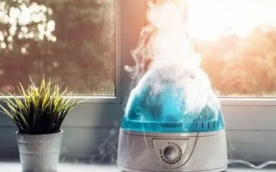 Best Warm Moisture Humidifier: Winter Dry Air Solutions
