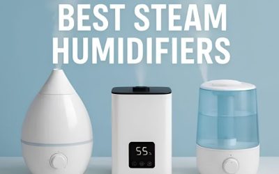 8 Best Humidifier Reddit Recommends: 7 Models and Caveats