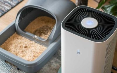 8 Best Air Purifiers for Litter Box Smell: 7 Carbon Filters