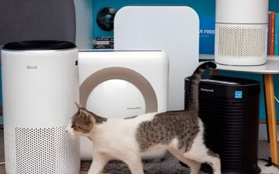 Best Air Purifier for Pets Odor: 7 Picks by Filter Cost