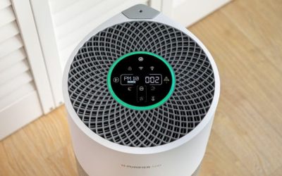 Air Purifier for Allergies: 7 Top Picks to Breathe Easy