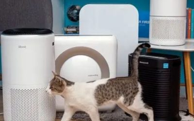 Air Purifier for Pets: 7 Top Picks for Hair, Dander, Odor