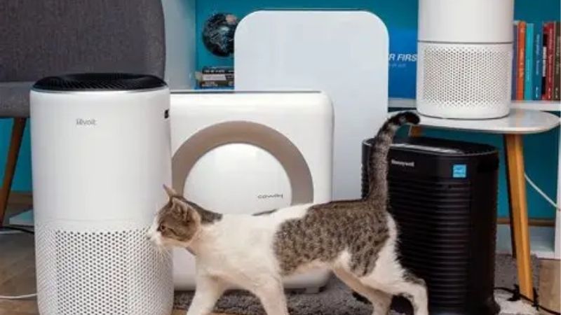 Best Air Purifiers for Pet Homes
