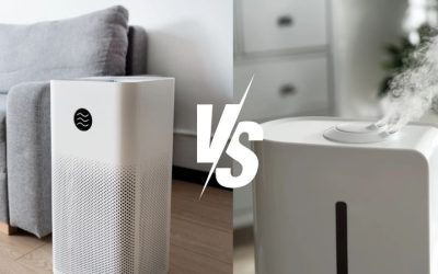 air purifier vs humidifier: Which Appliance Do You Need?