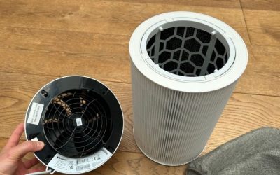 Blueair Review: Top Air Purifiers Tested for Clean Home Air