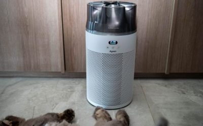 Dyson Purifier Review: Best Models Ranked for Clean Homes