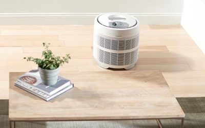 Air Purifier Buying Guide: Top Rated Home Picks for 2026